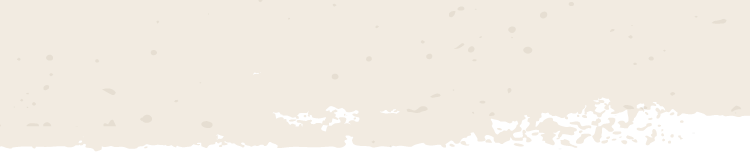 Arriba Craft Mexican Salsa