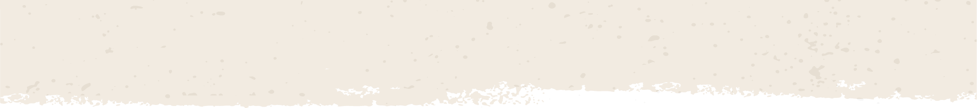 Arriba Craft Mexican Salsa